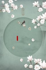 一干二净不遮不挡的视频